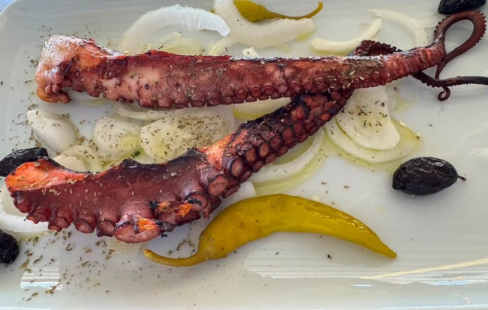Grilled octopus